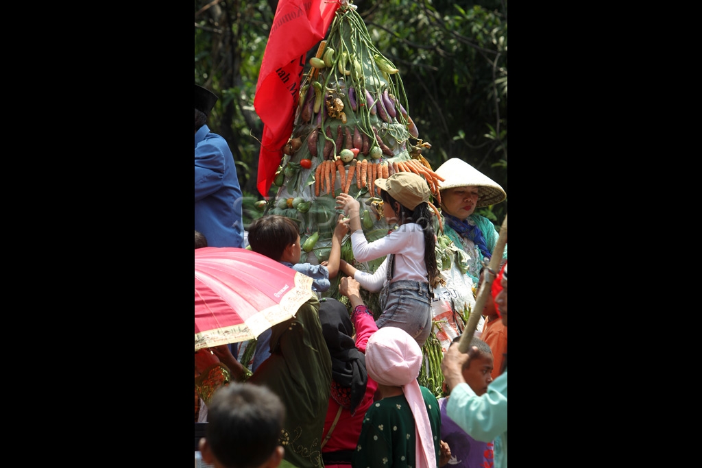Sedekah Bumi Warga Tanah...