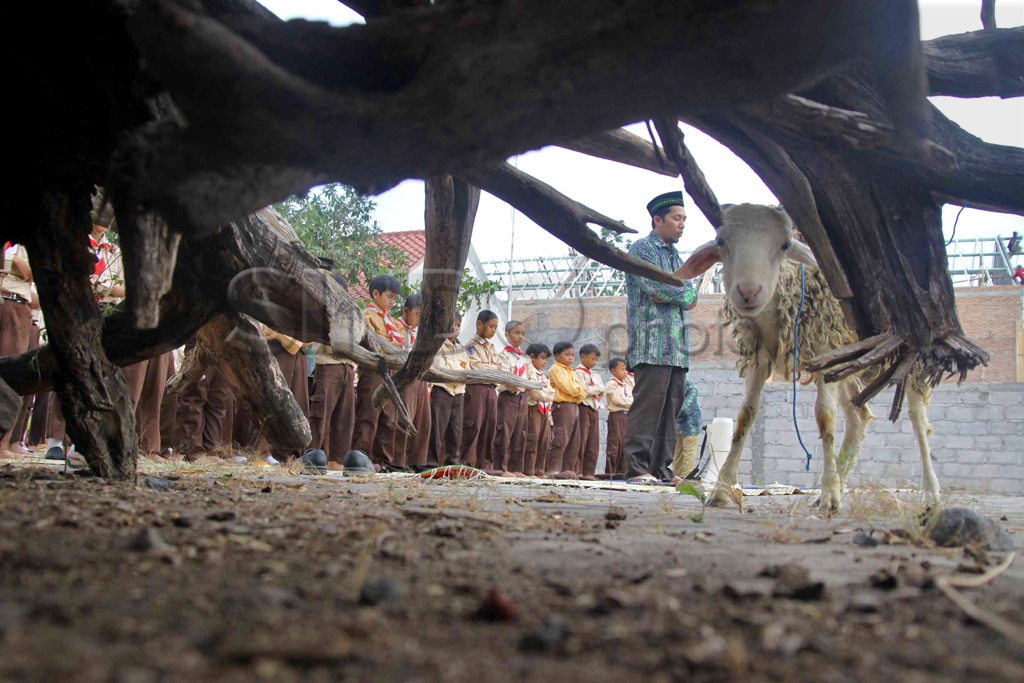 Minta Hujan
