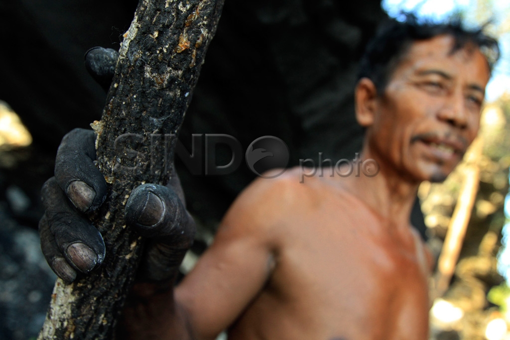 Pemecah Batu Karst