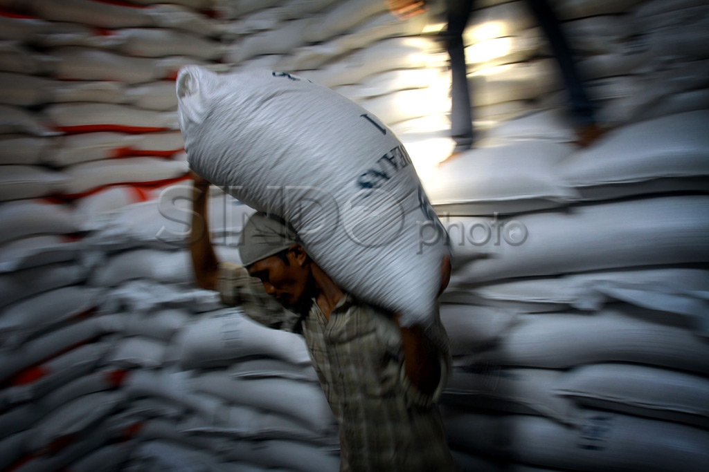 Harga Kedelai Tinggi