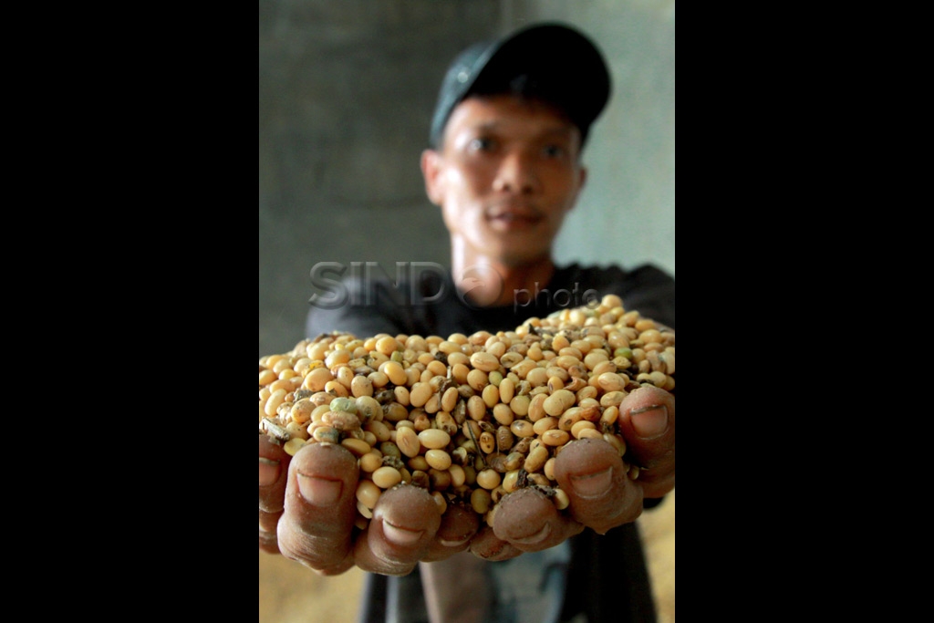 Harga Kedelai Tinggi