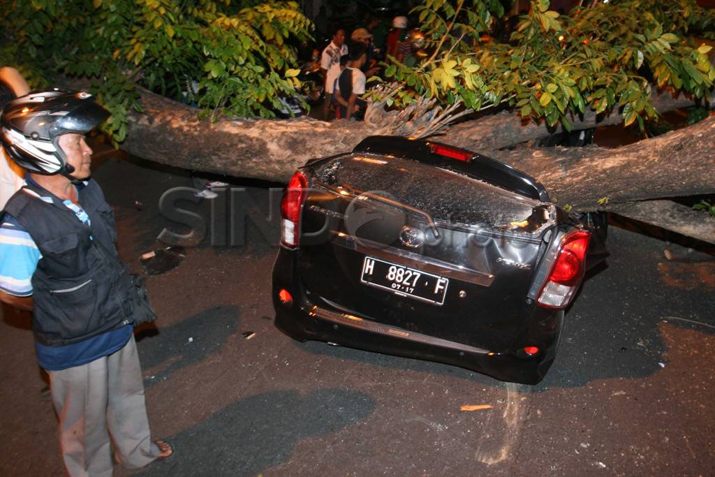 Avanza Tertimpa Pohon