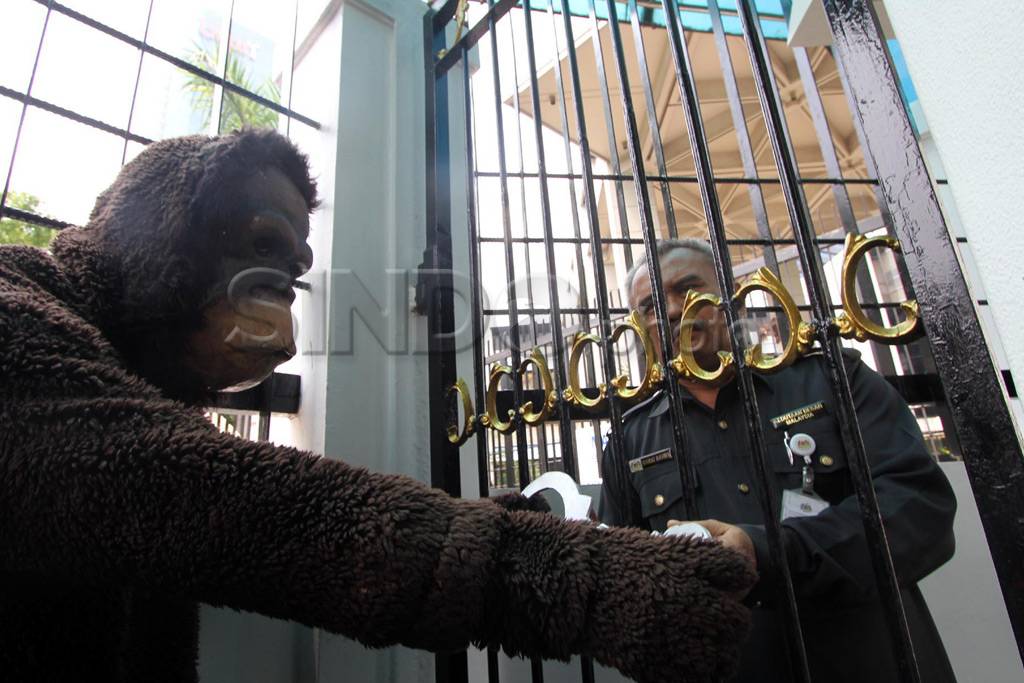 Tangkap Pembunuh Orangutan