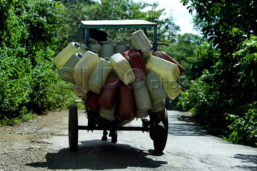 Kuda Transportasi Alternatif...
