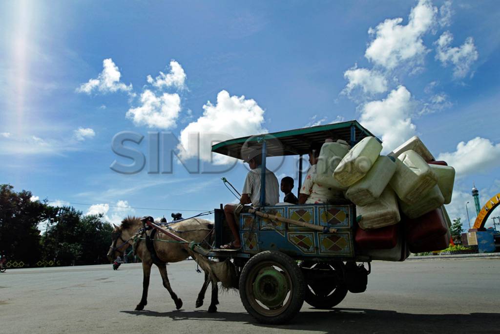 Kuda Transportasi Alternatif...