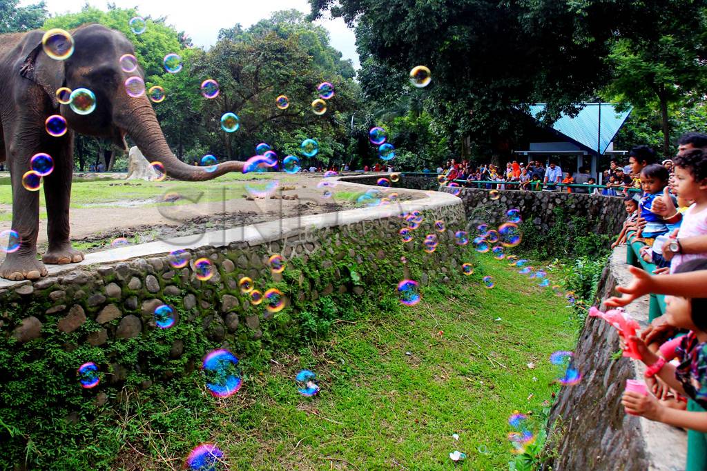 Kebun Binatang Tempat...