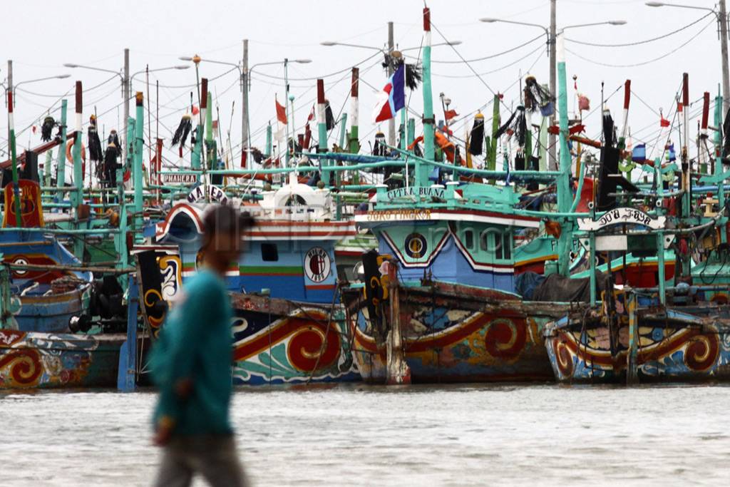 Harga Ikan Naik Dua...