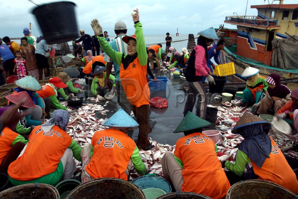 Harga Ikan Naik Dua...