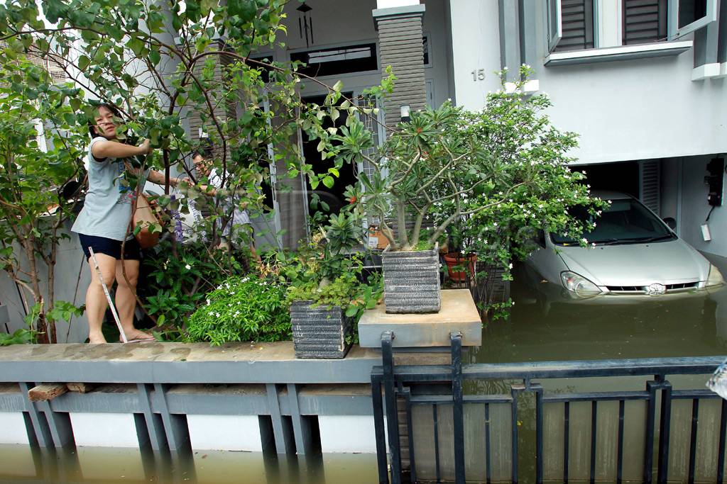 Pluit Terendam
