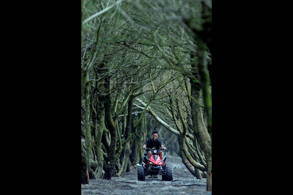 Bermain ATV di Pantai...