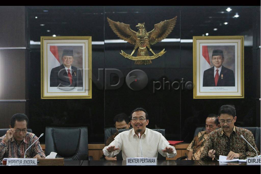 Kebijakan Impor Daging...