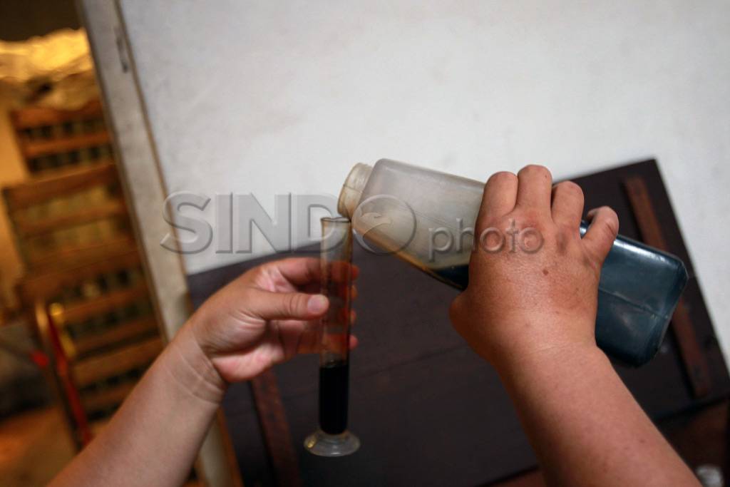 Sisa Kejayaan Sarsaparila