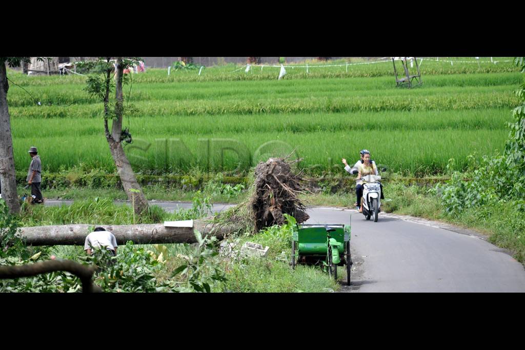 Gumpang Porak Poranda
