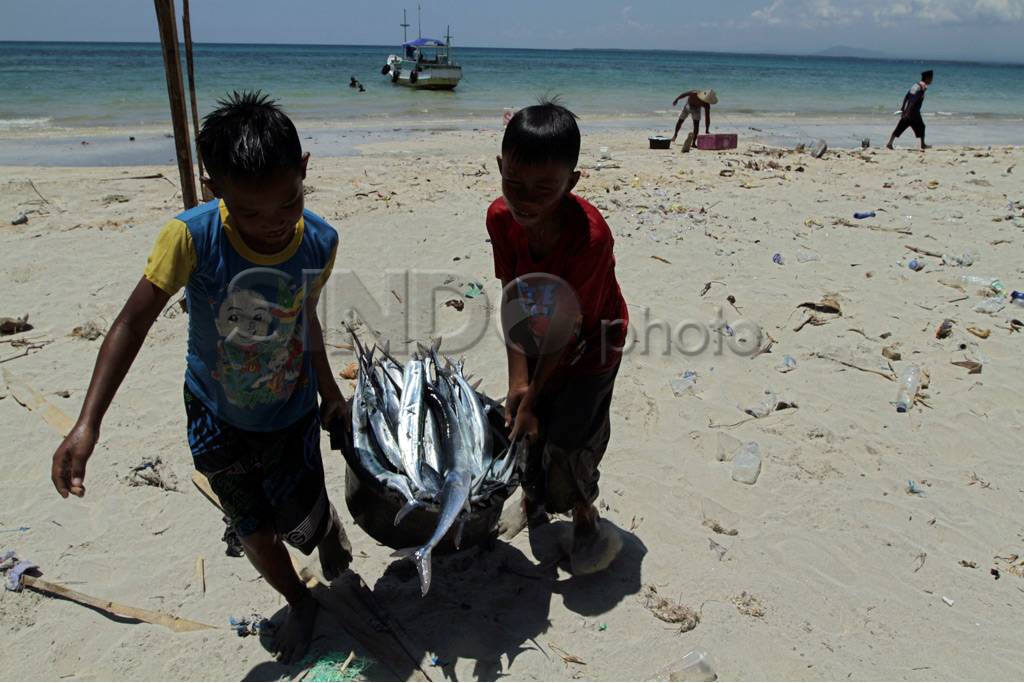 Ikan Hasil Tangkapan...