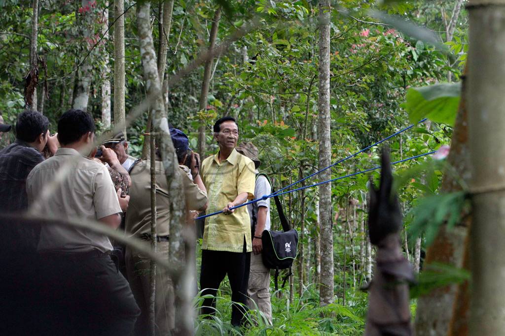 Pelepasan Elang Jawa