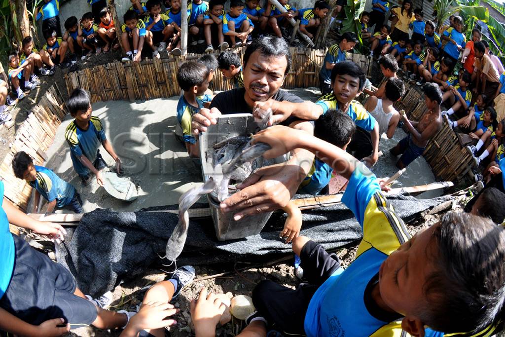 Murid SD panen ikan...
