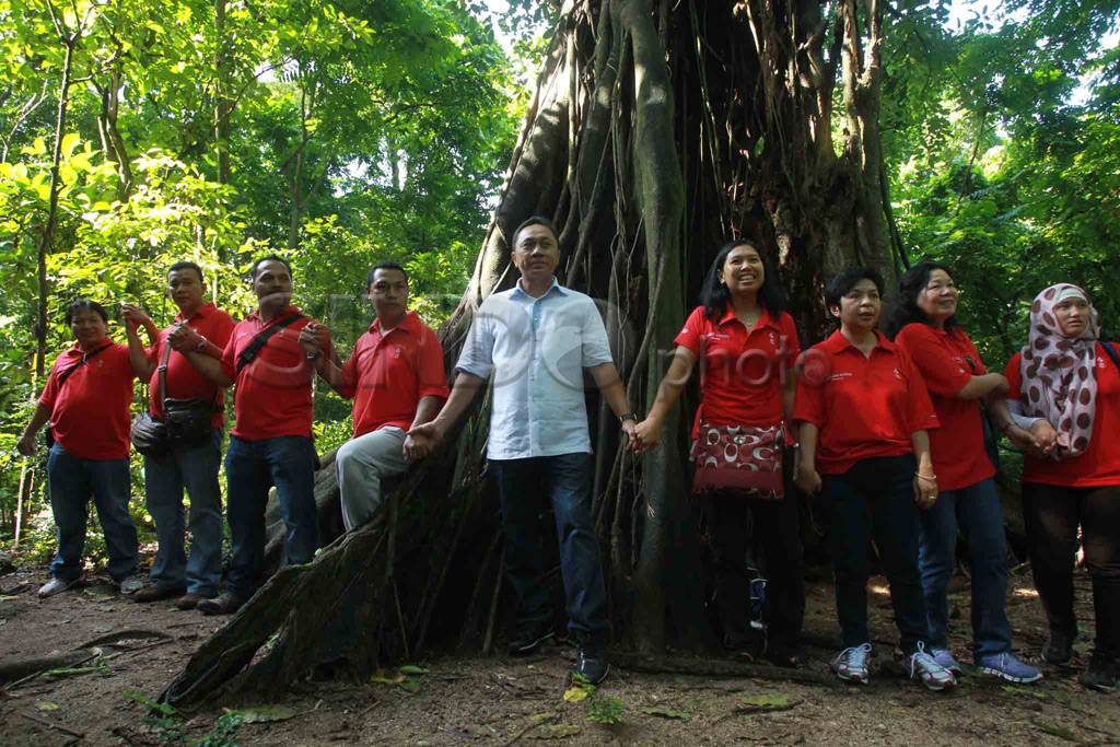 Konservasi hutan Kepulauan...