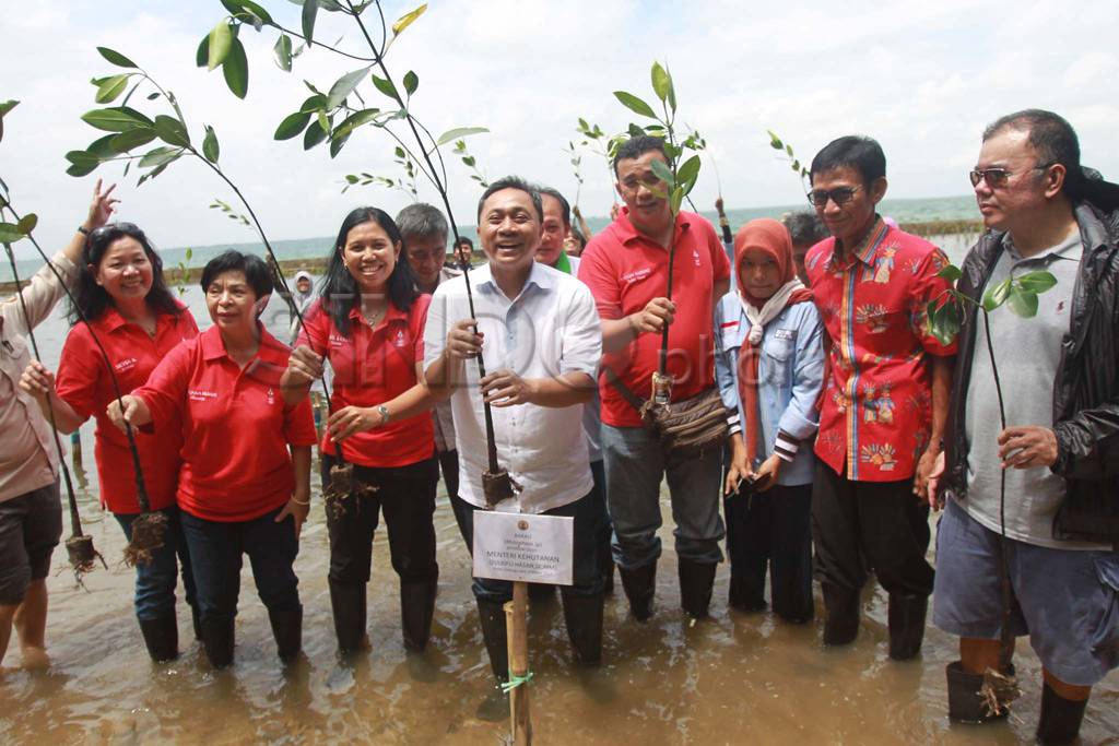 Konservasi hutan Kepulauan...