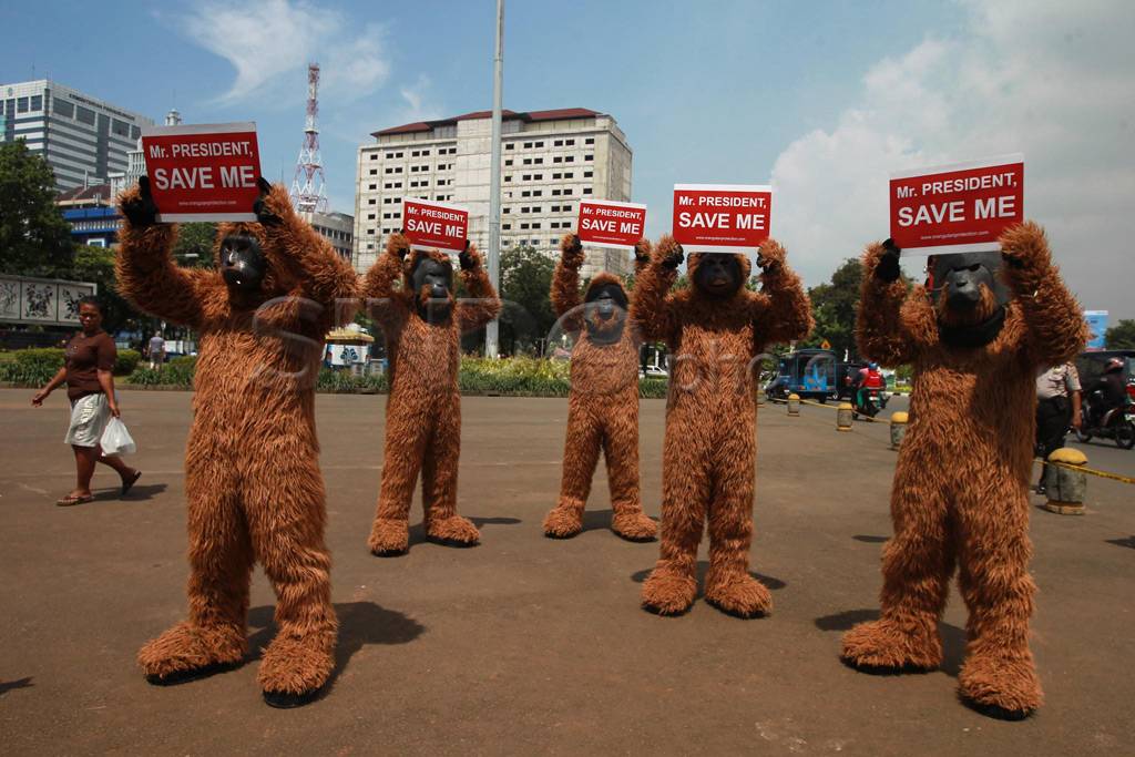 Aksi peduli Orang Utan