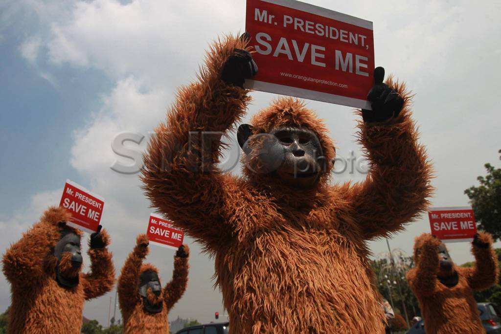 Aksi peduli Orang Utan