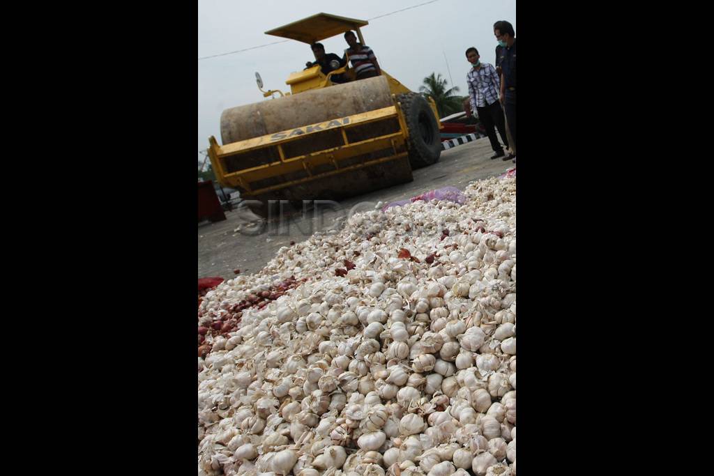 Pemusnahan bawang selundupan