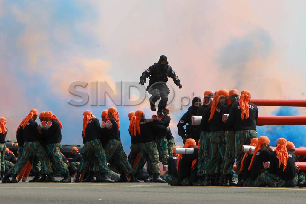 HUT TNI AU