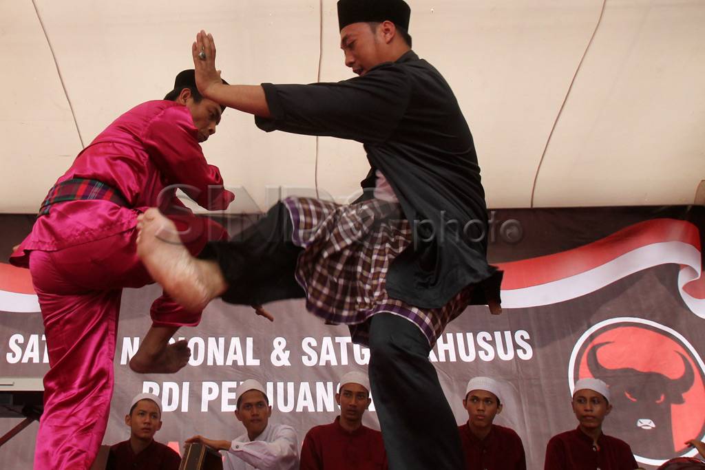 Satgas PDIP