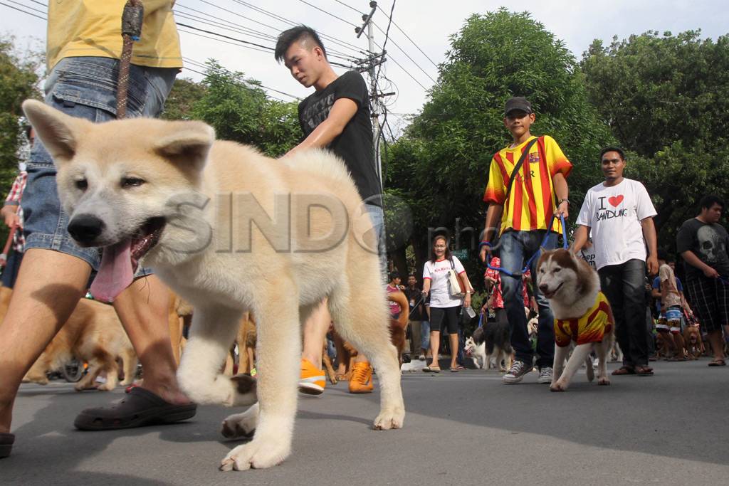 Gerak jalan komunitas...