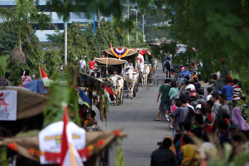 Sultan hadiri Festival...