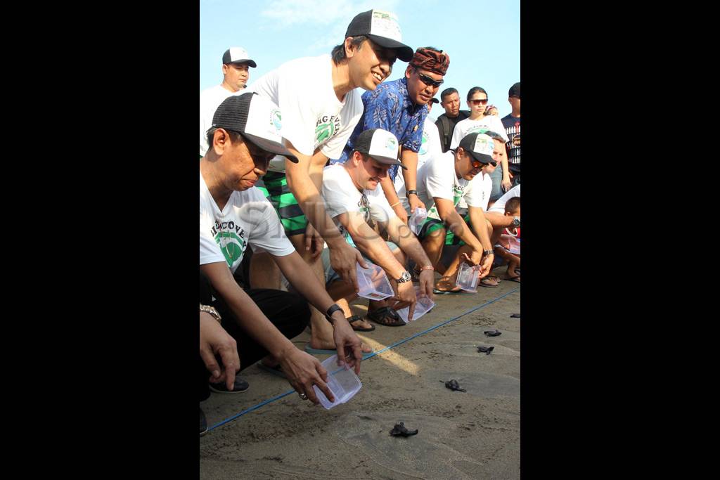 Pelepasan 1200 tukik