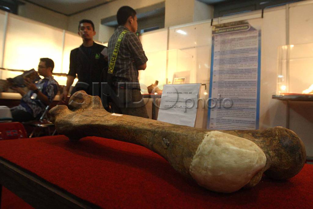 Pameran 100 tahun purbakala