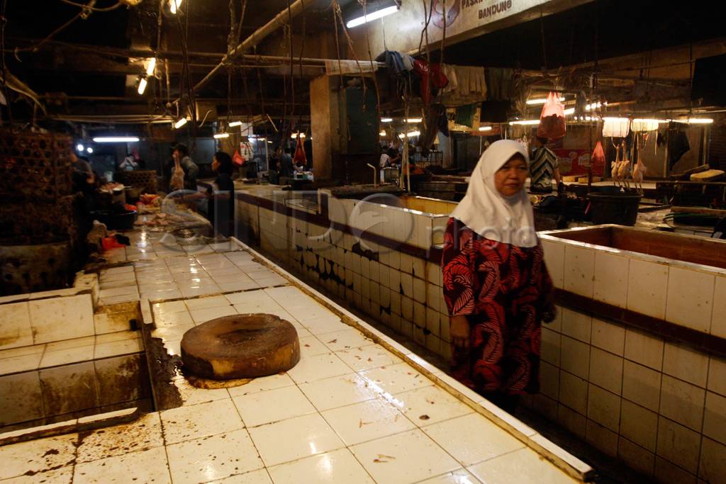 Harga ayam melambung,...