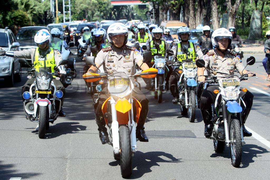 1.081 Timsus Kurma diturunkan...