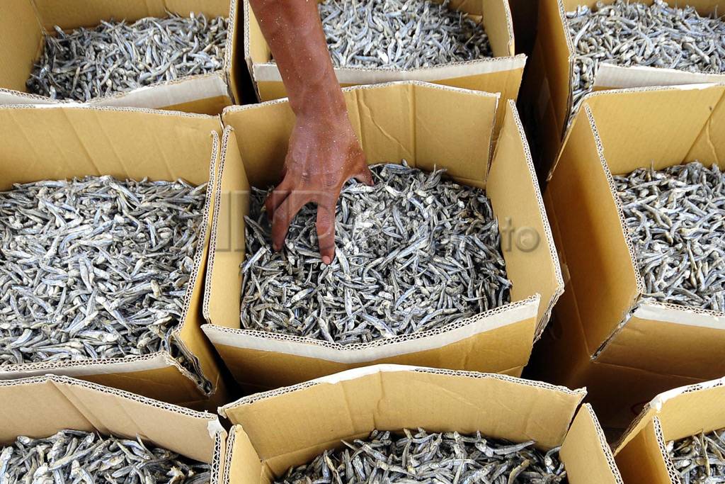 Pasokan ikan menurun
