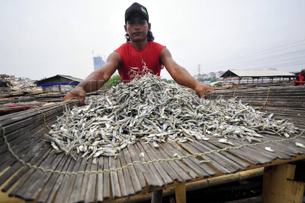 Pasokan ikan menurun