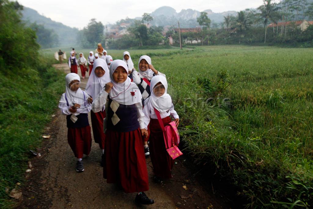 Lintasi pematang sawah...