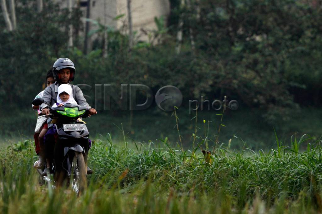 Lintasi pematang sawah...