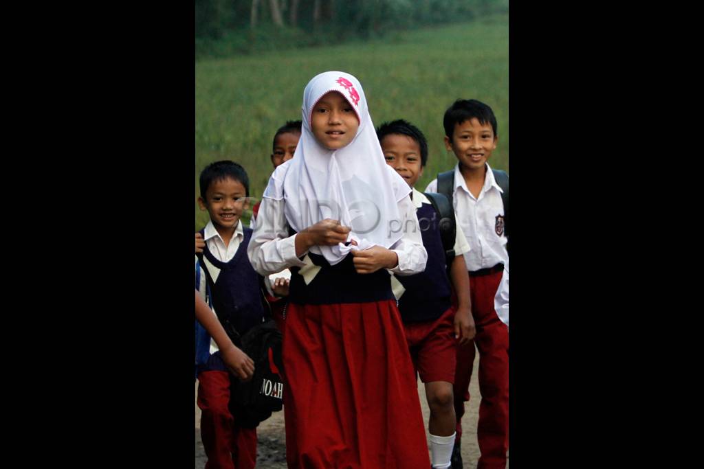 Lintasi pematang sawah...