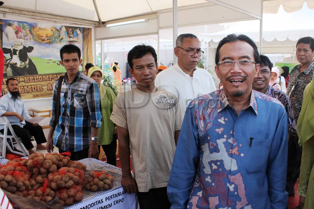 Mentan tinjau harga...