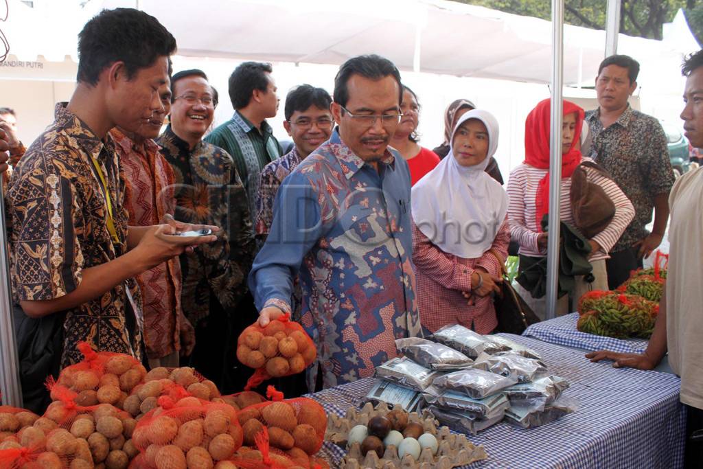 Mentan tinjau harga...
