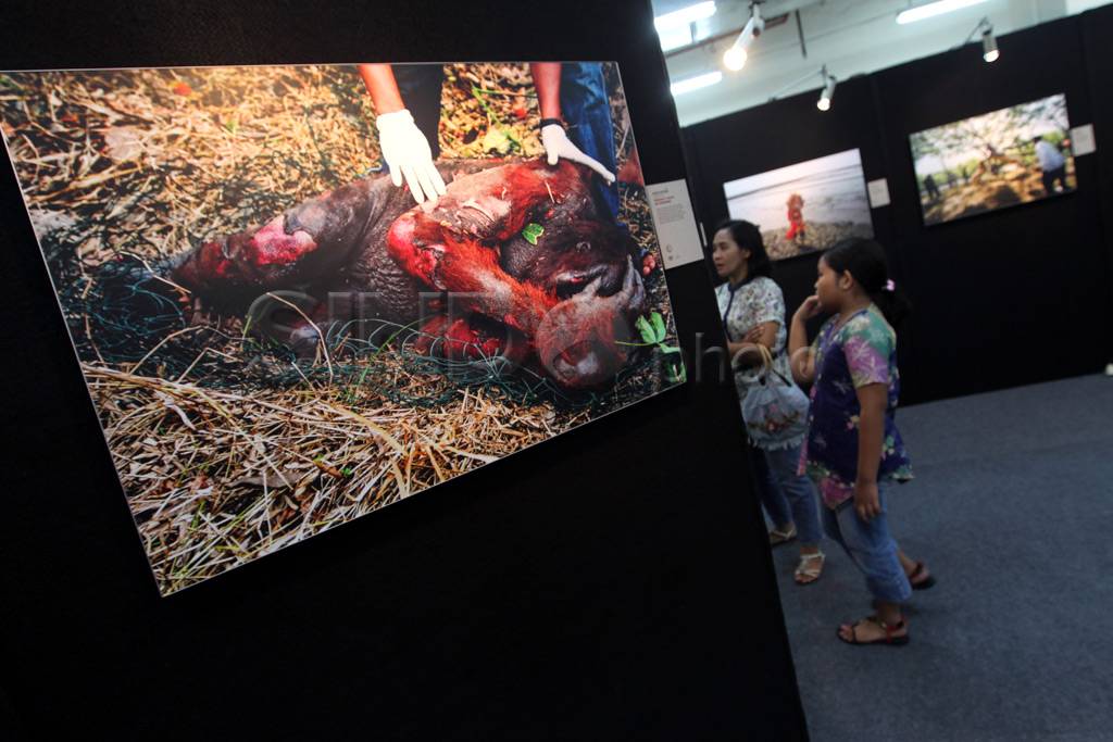 Karya foto terbaik 2012,...
