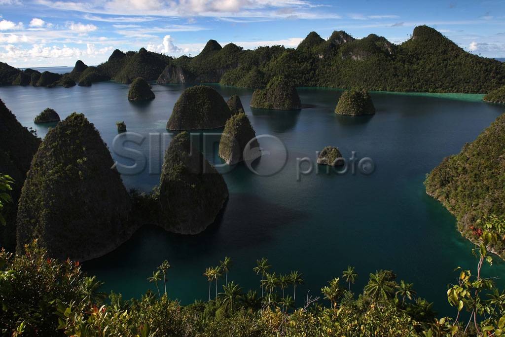 Potensi laut Raja Ampat