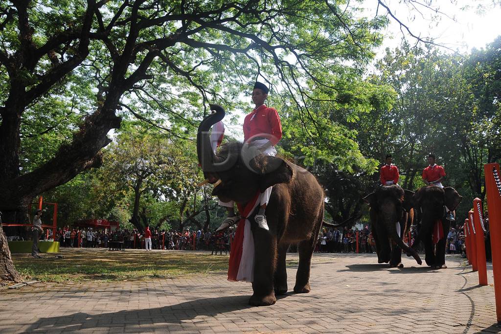 Gajah di Surabaya turut...