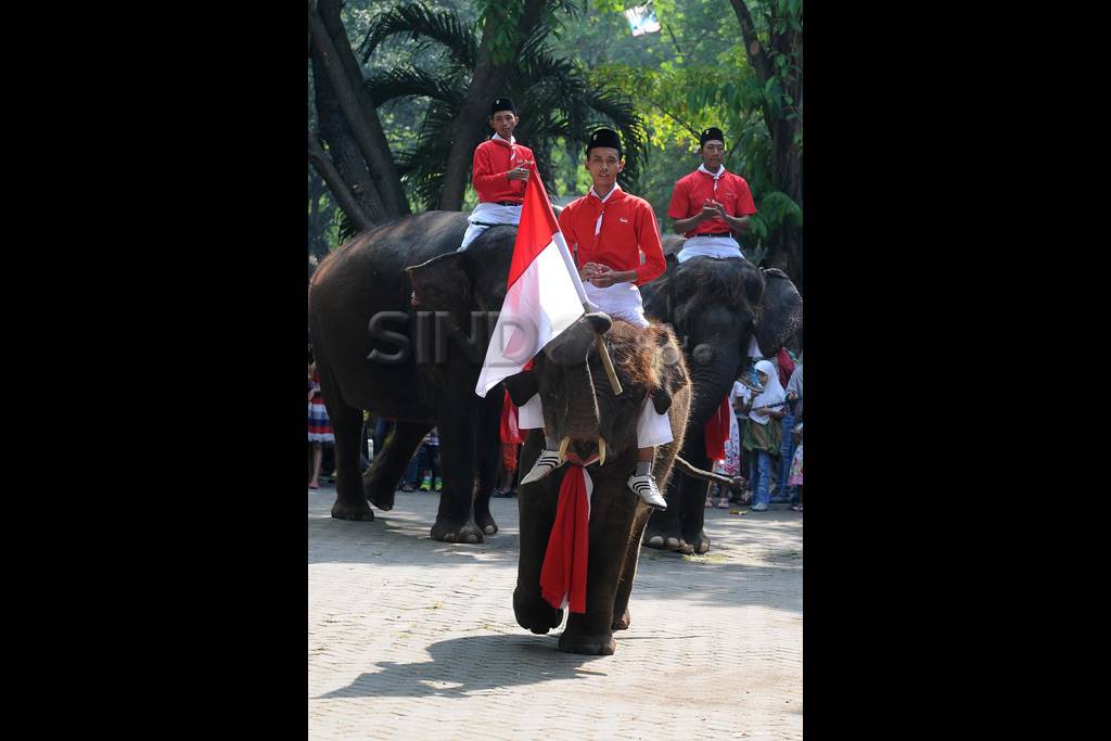Gajah di Surabaya turut...