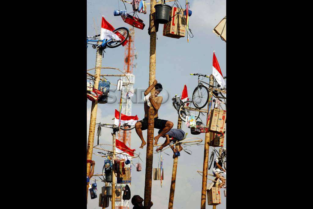 Panjat pinang massal...