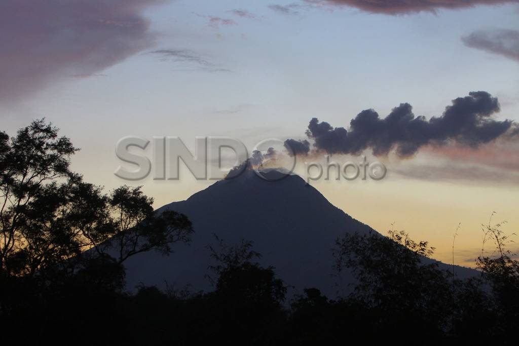 Panjat pinang di puncak...