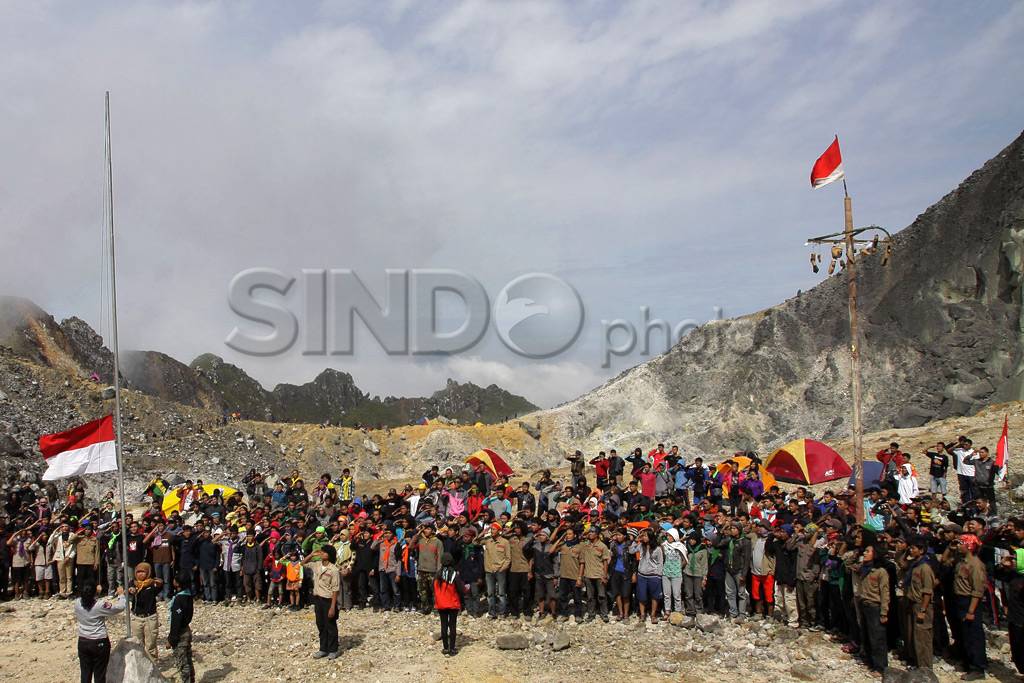 Panjat pinang di puncak...