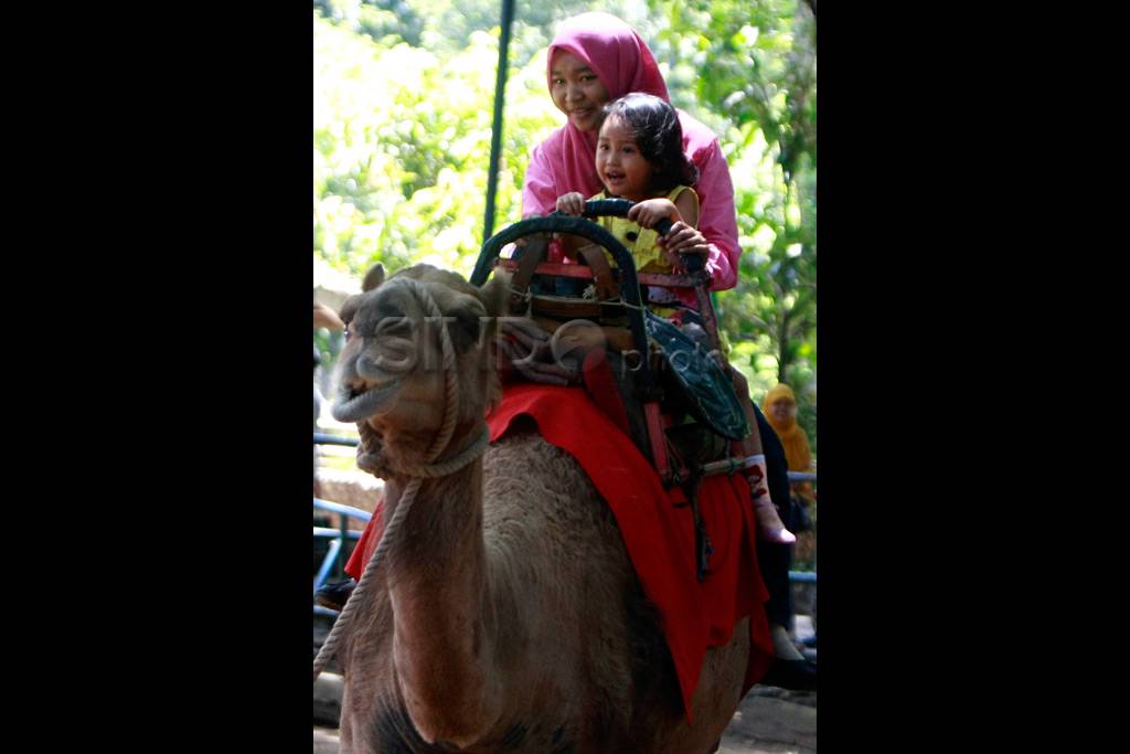 Bunbin menunggak sewa...