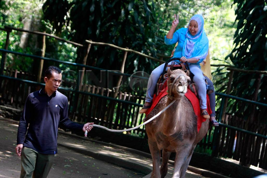 Bunbin menunggak sewa...