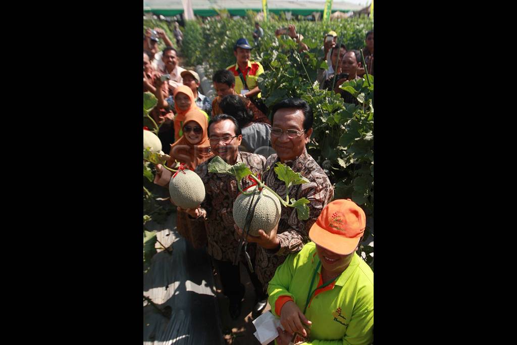 Mentan dan Sultan buka...